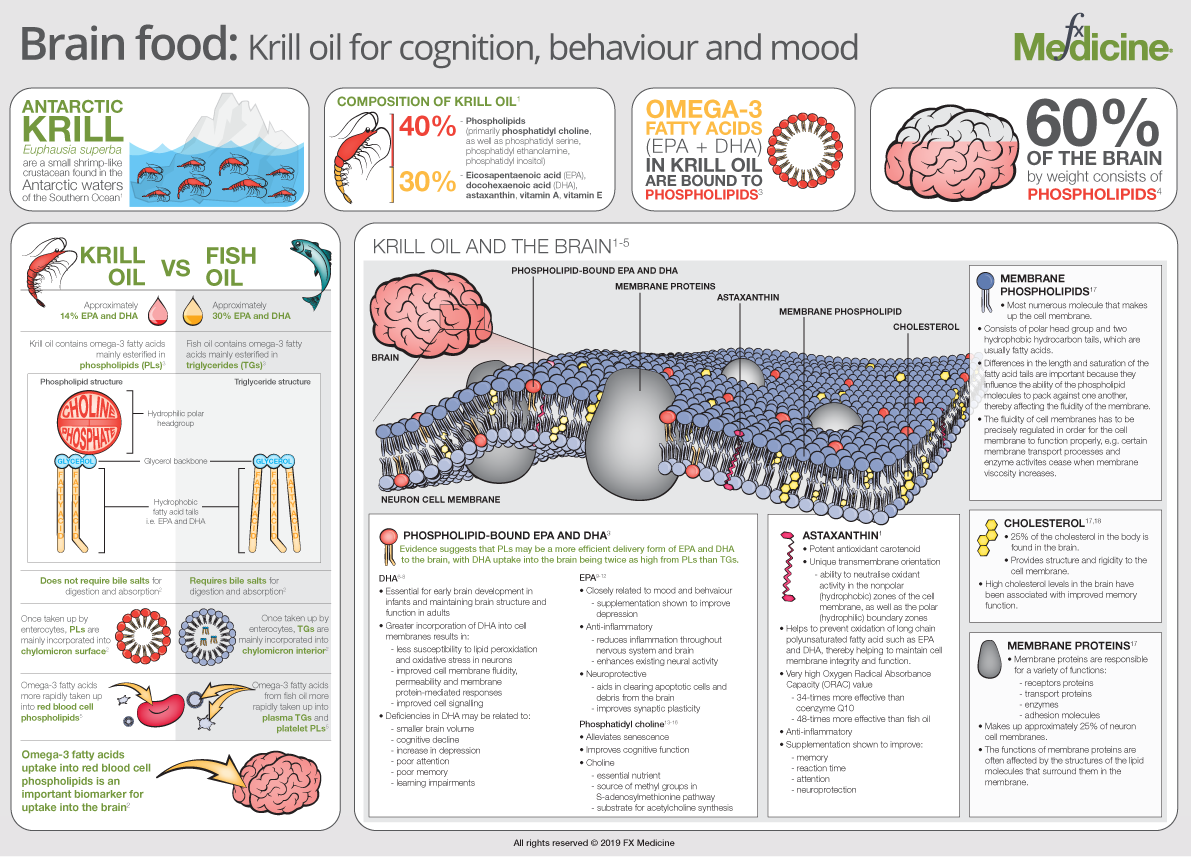 Food: Krill Oil for Cognition, Behaviour and Mood | FX Medicine