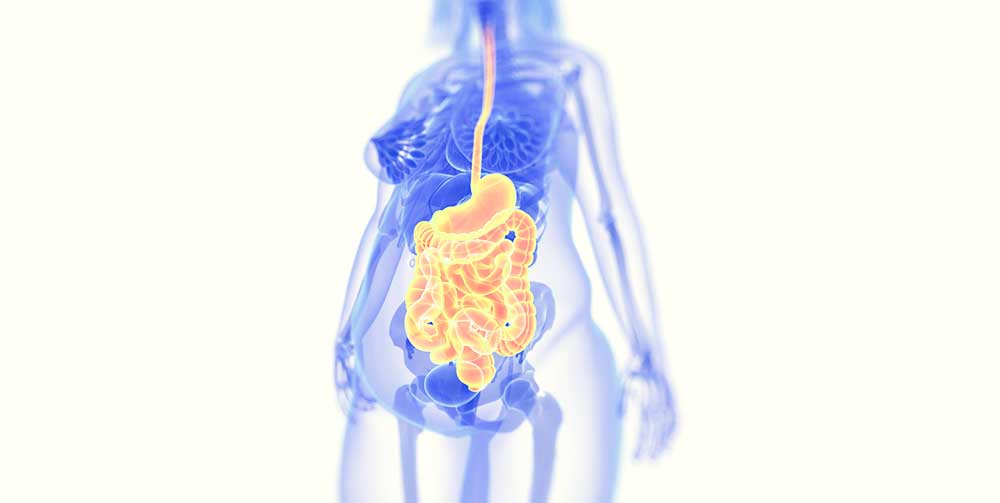 gut microbiome and diabetes