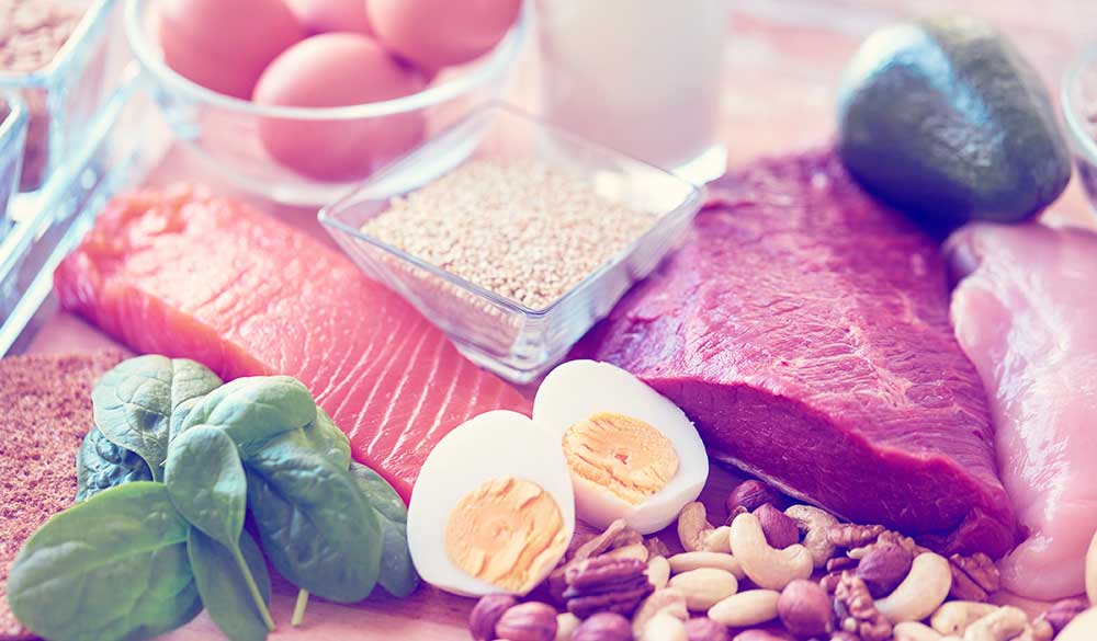 Protein for appetite and weight control