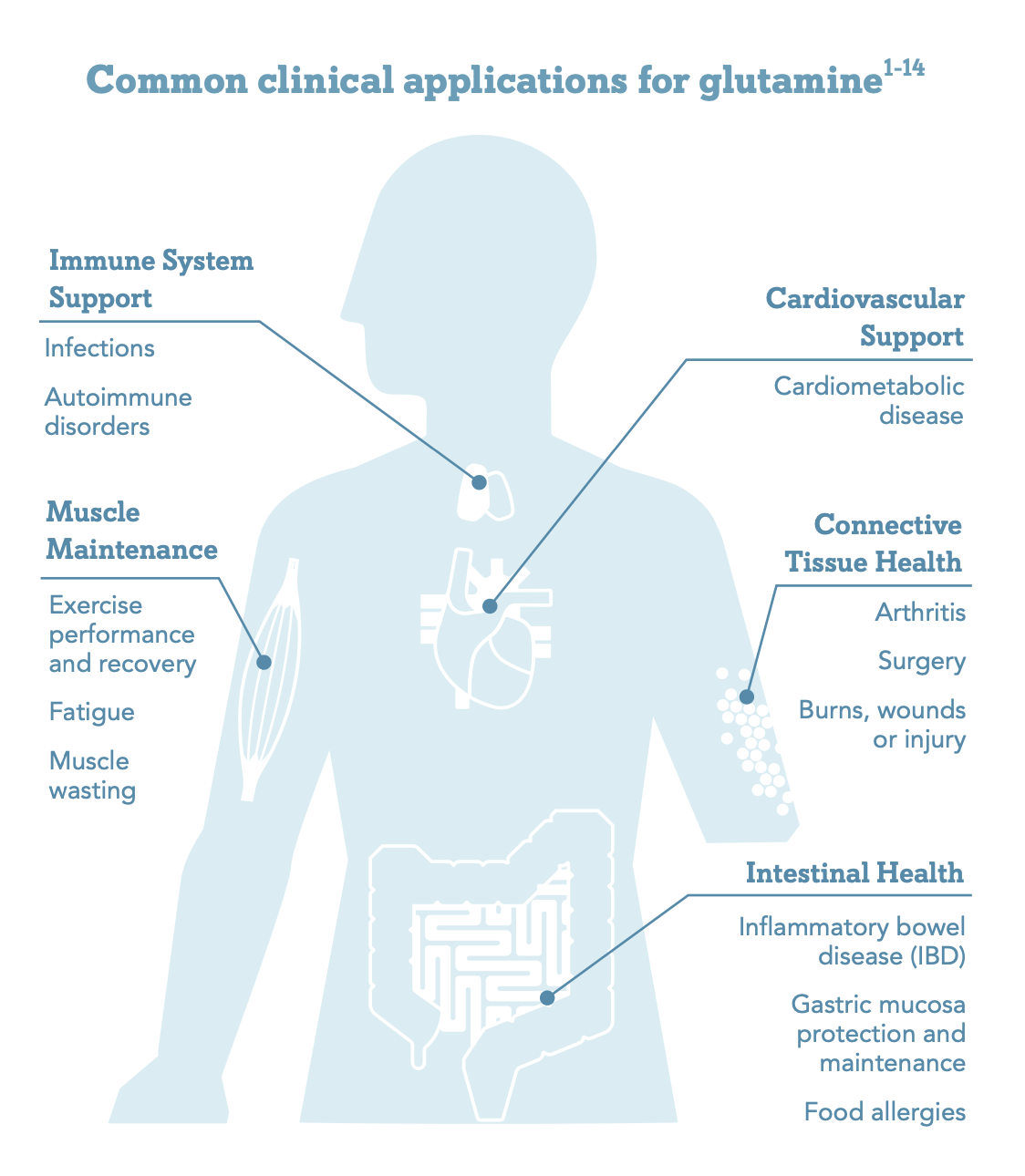 glutamine clinical applications