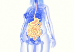 gut microbiome and diabetes