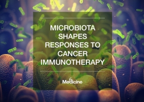 Microbiota Shapes Responses to Cancer Immunotherapy
