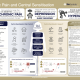 Infographic, chronic pain and central sensitisation